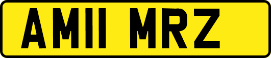 AM11MRZ