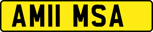 AM11MSA