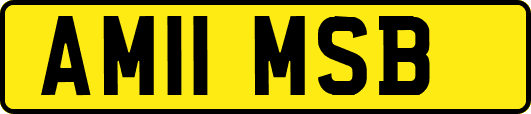 AM11MSB