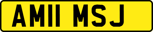 AM11MSJ