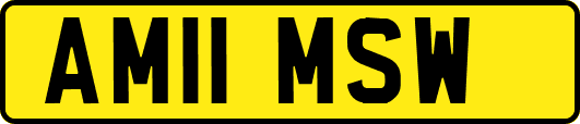 AM11MSW