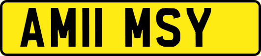 AM11MSY