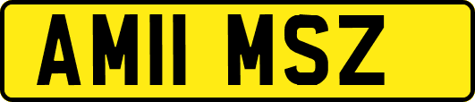 AM11MSZ