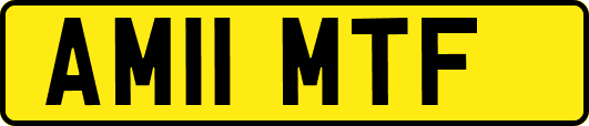 AM11MTF