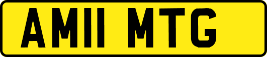 AM11MTG