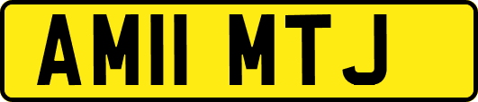 AM11MTJ