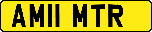 AM11MTR