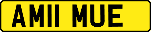 AM11MUE