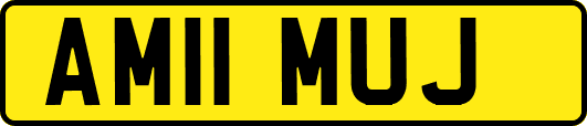 AM11MUJ