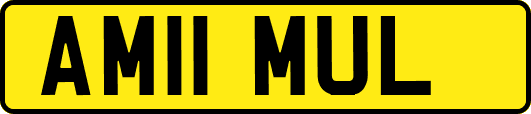 AM11MUL
