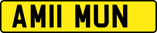 AM11MUN
