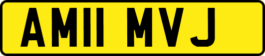 AM11MVJ