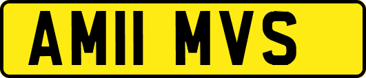 AM11MVS