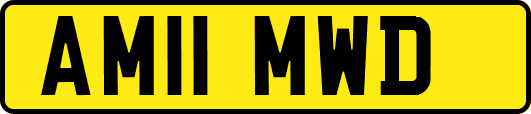 AM11MWD