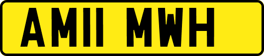 AM11MWH