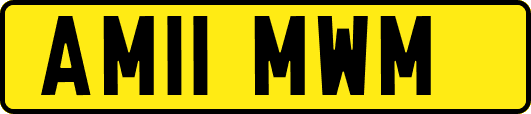 AM11MWM