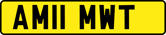 AM11MWT