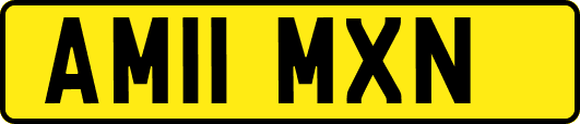 AM11MXN