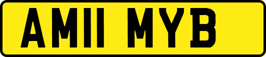 AM11MYB