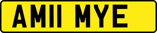 AM11MYE