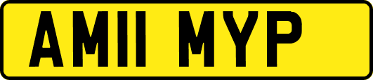 AM11MYP