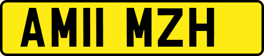 AM11MZH
