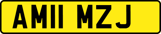 AM11MZJ