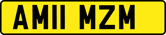 AM11MZM