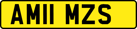AM11MZS