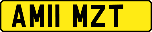 AM11MZT