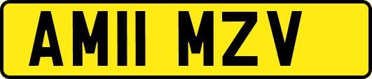 AM11MZV