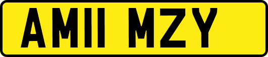 AM11MZY