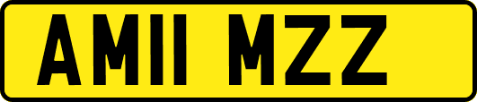 AM11MZZ