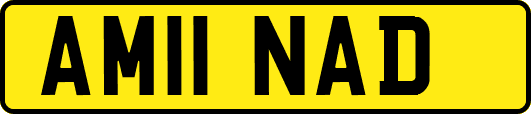 AM11NAD