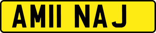 AM11NAJ