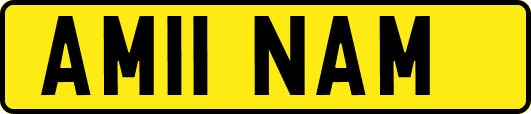AM11NAM
