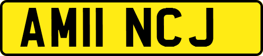 AM11NCJ