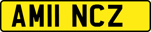AM11NCZ