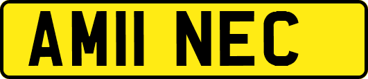 AM11NEC