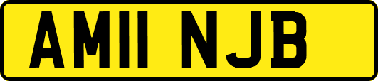 AM11NJB