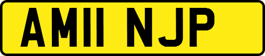AM11NJP