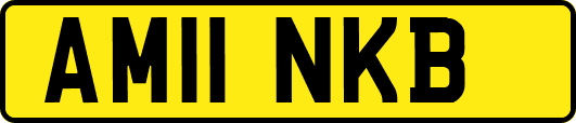 AM11NKB