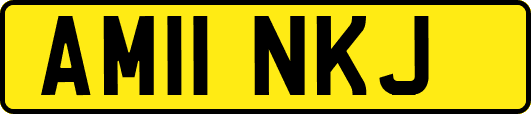 AM11NKJ