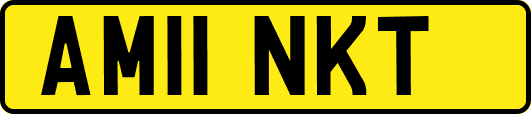 AM11NKT