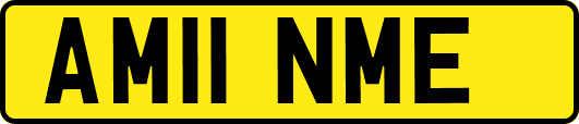 AM11NME