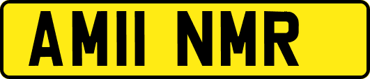 AM11NMR