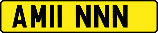 AM11NNN