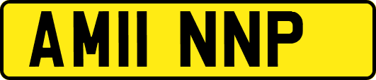 AM11NNP