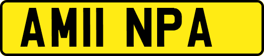 AM11NPA