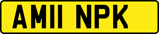 AM11NPK